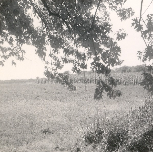 rg_looking_sw_1953.jpg